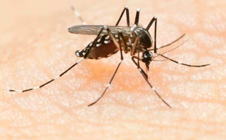 Zika Latest Updates: Singapore and International